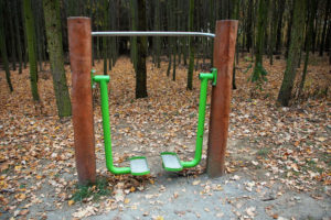 A piece of beginner exercise equipment in the forest